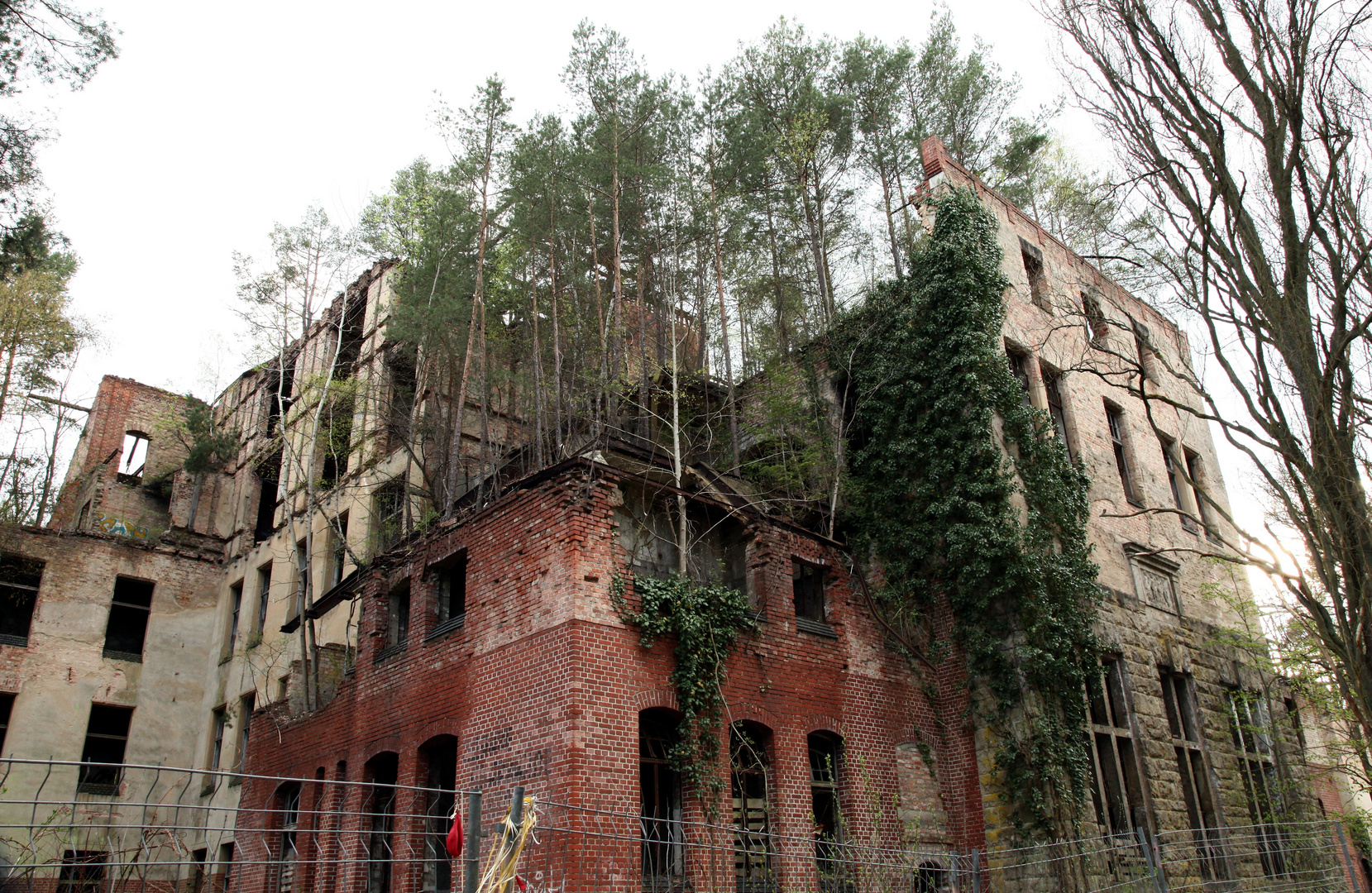 Ein Haus kehrt zur Natur zurück