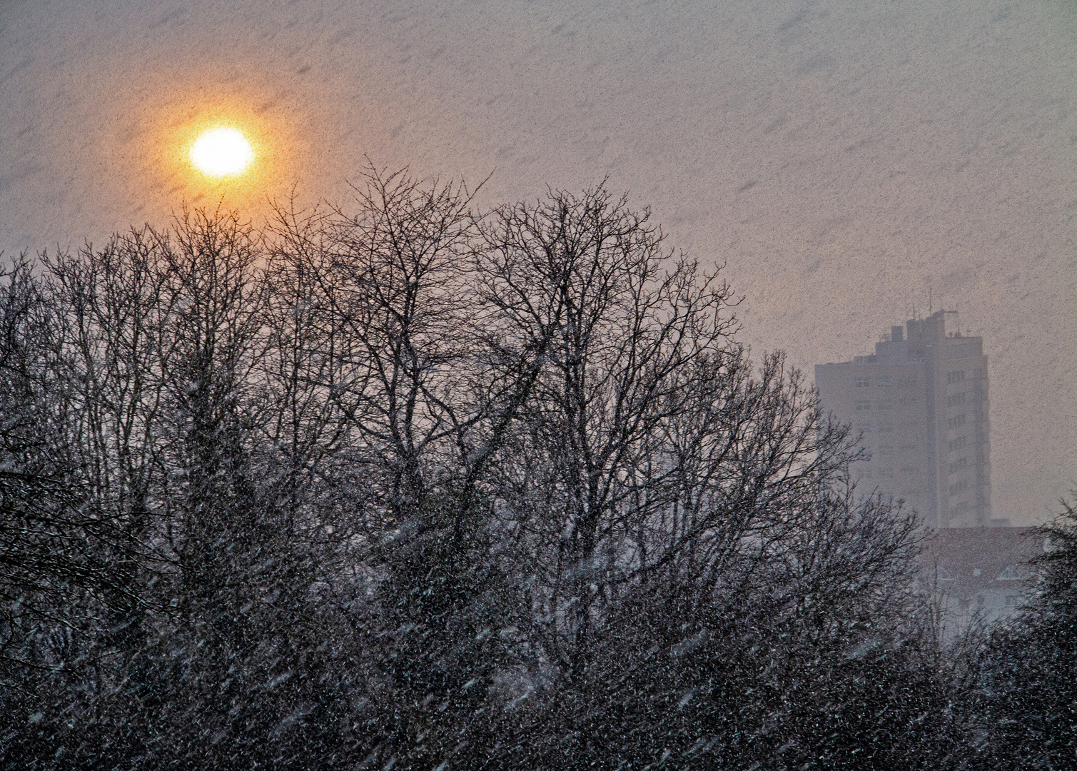 Ein heftiger Schneeschauer