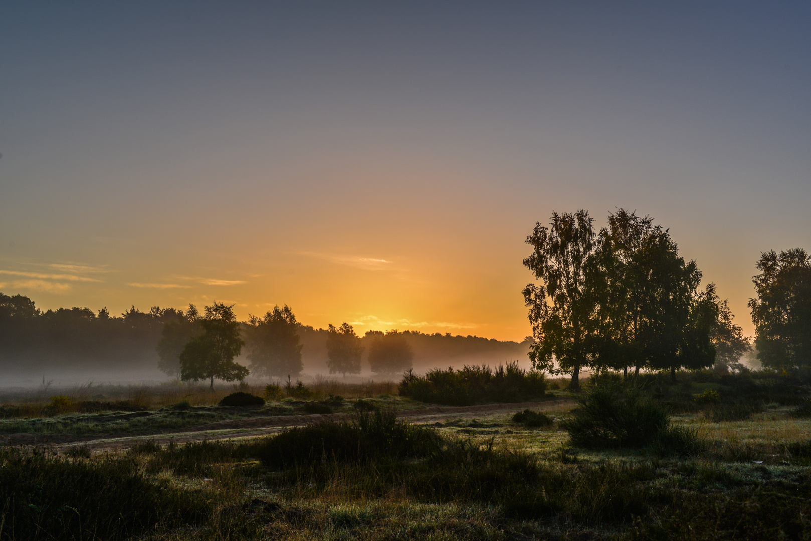 Ein Heidemorgen