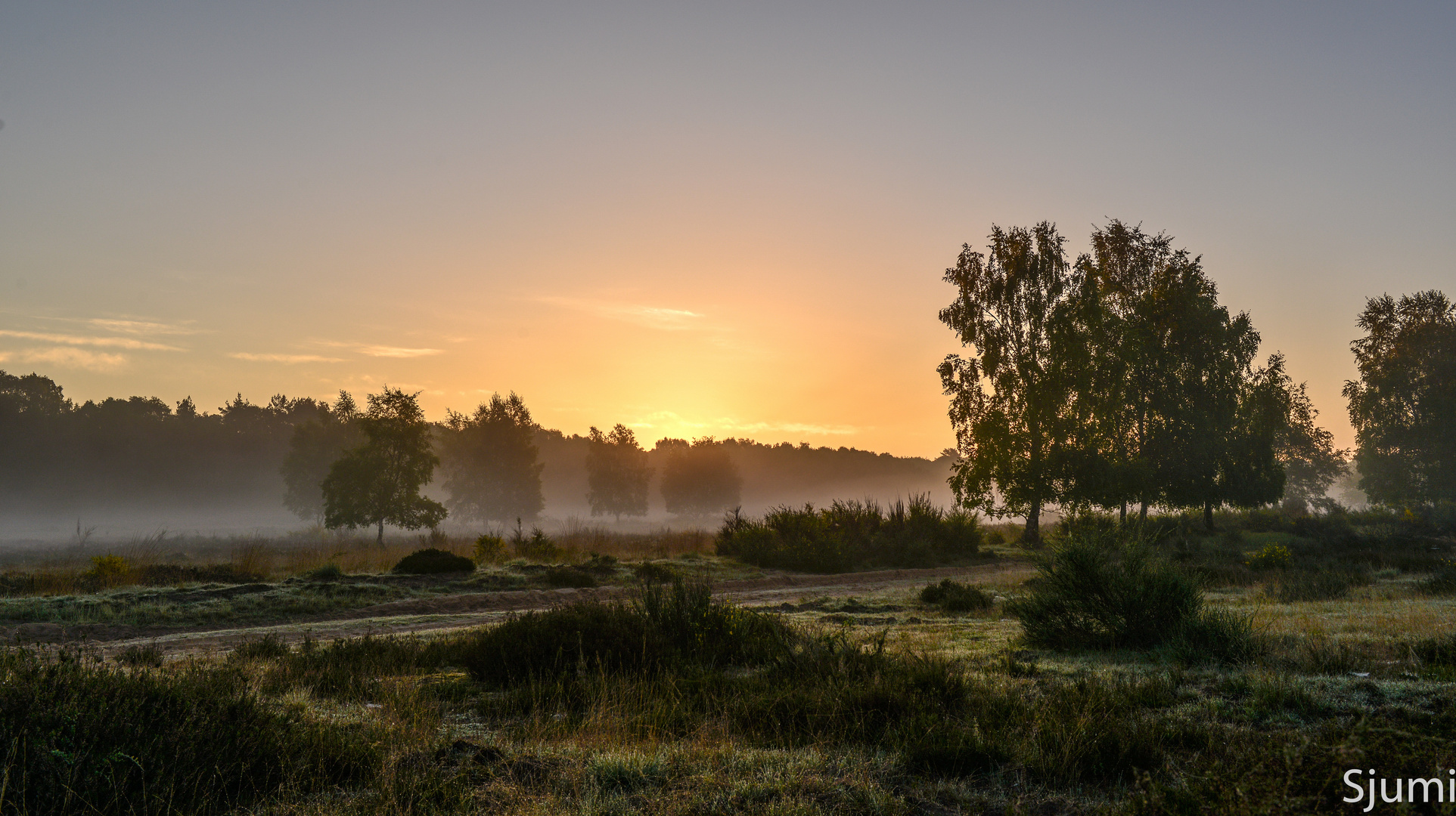 Ein Heidemorgen