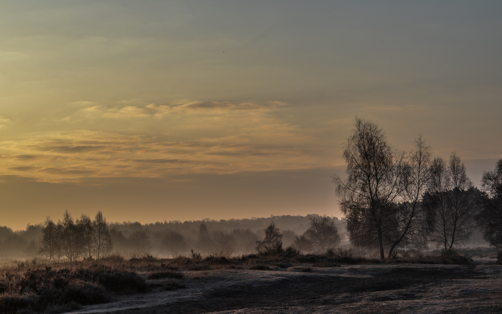 Ein Heidemorgen