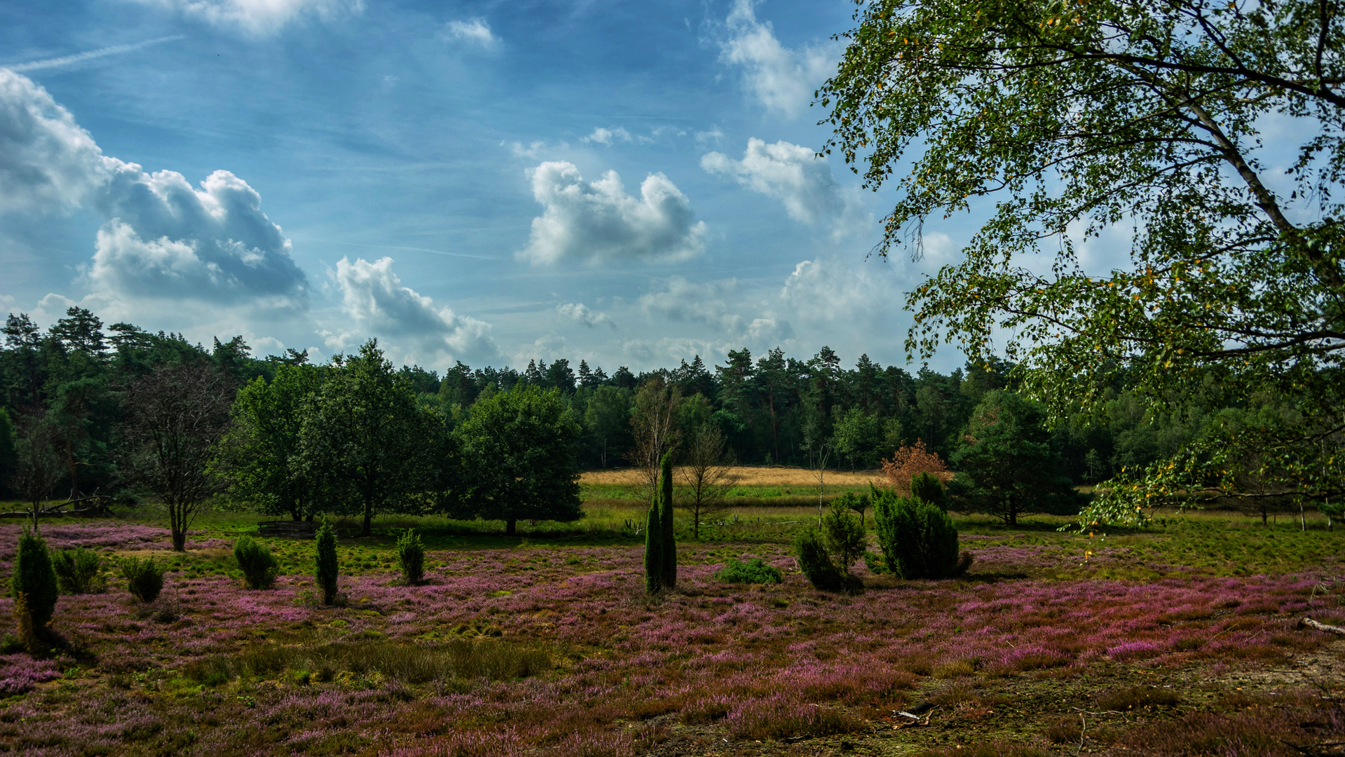 ....ein Heide(n) Spaß ....Vol.: 2