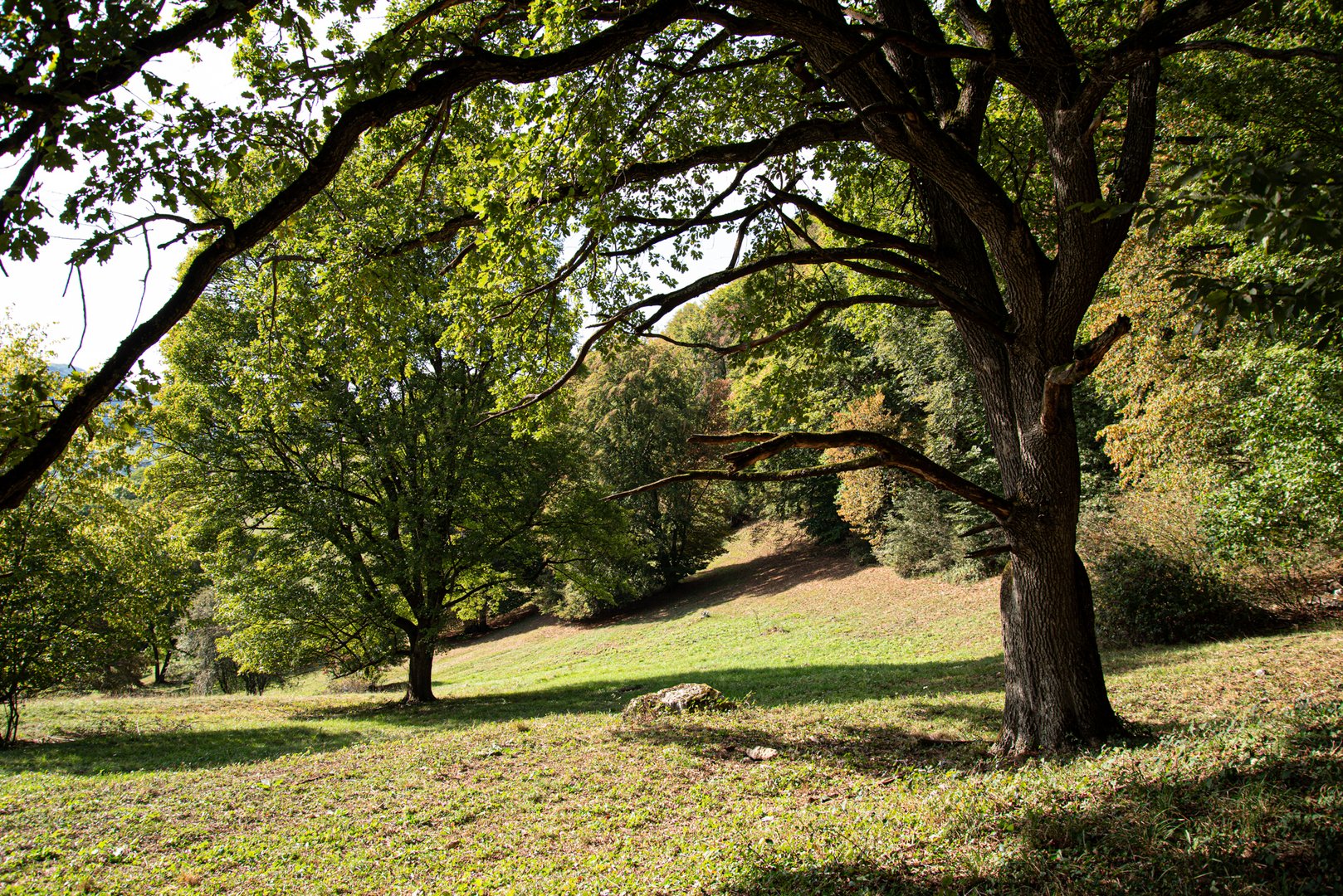 Ein heißer Herbsttag