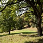 Ein heißer Herbsttag