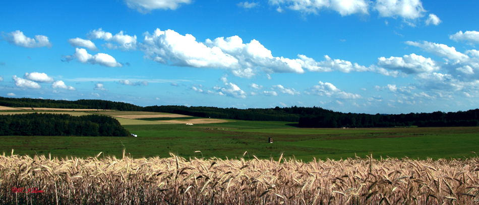 Ein heißer Juli-Tag!