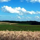 Ein heißer Juli-Tag!