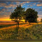 ein heißer Sommerabend