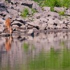 Ein heißer Sommertag