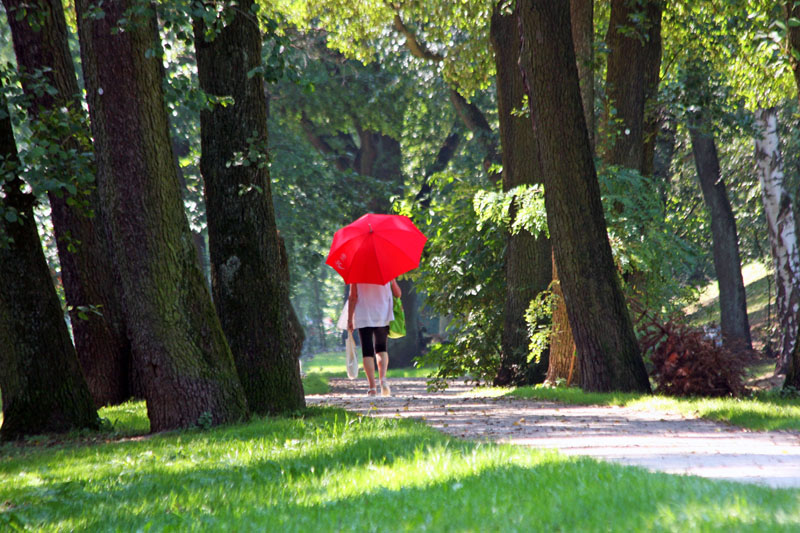 Ein heißer Sommertag