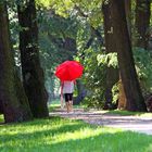 Ein heißer Sommertag