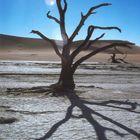 Ein heißer Tag in Namibia. Wasser gab es hier sehr lange nicht.