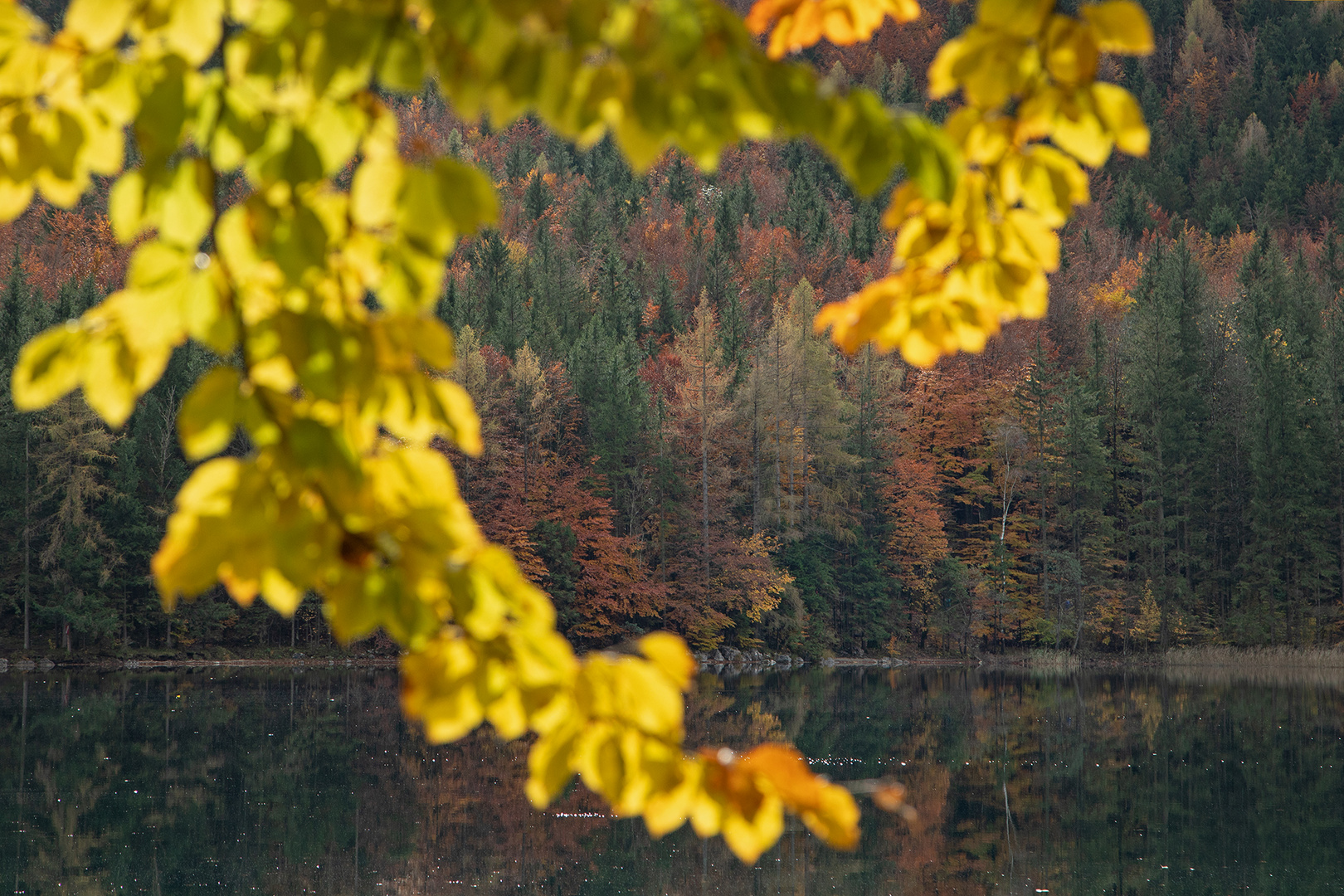 ein her-(z)-bstlicher Durchblick