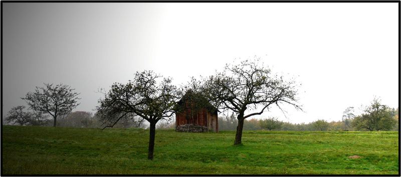 ein Herbst