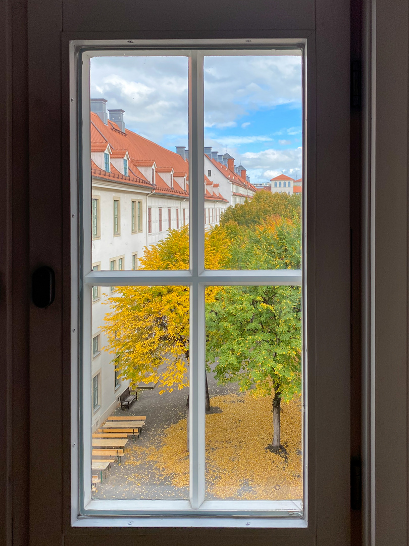 Ein Herbst in fünf Bildern