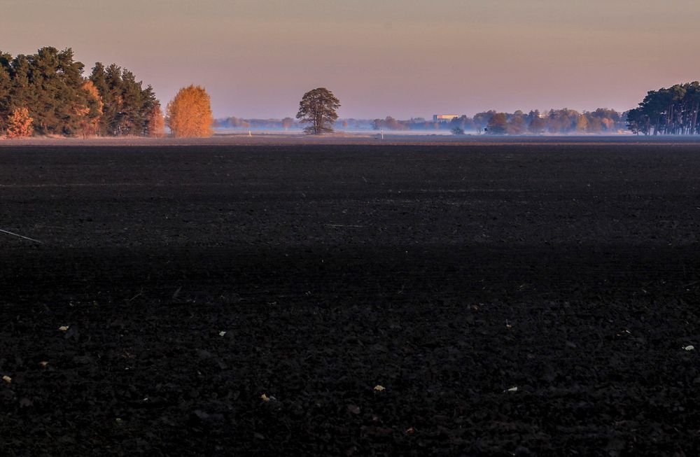 Ein Herbst-morgen 