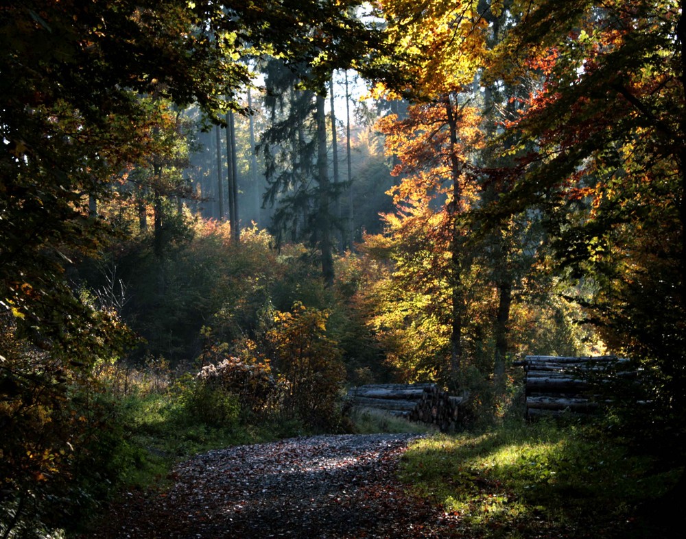 ein herbst morgen