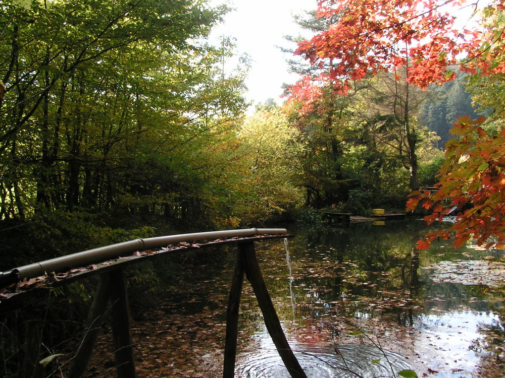 Ein "Herbst" später