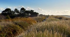 ein Herbst-Traum auf Hiddensee 