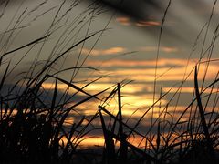 Ein Herbstabend im Peenetal