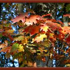 Ein Herbstag im Oktober 2010