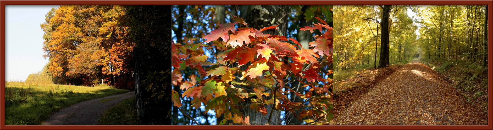 Ein Herbstag im Oktober 2010