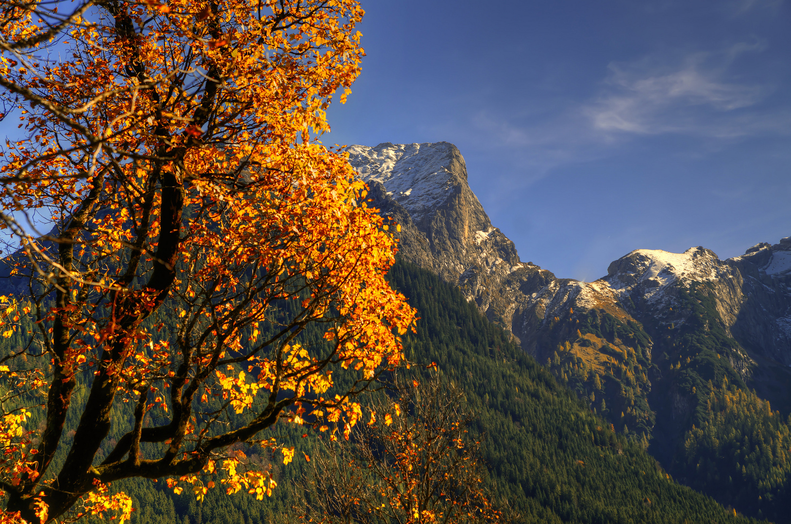 Ein Herbstbaum