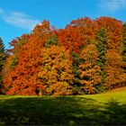 Ein Herbstfarben-Bouquet...