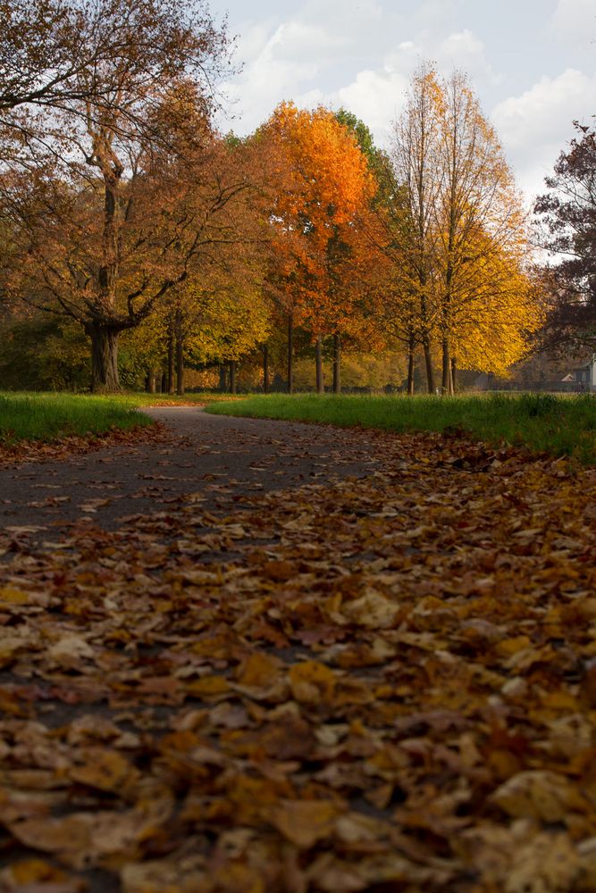 Ein Herbstfoto vom Georgengarten in Hannover. (6)