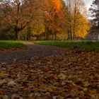 Ein Herbstfoto vom Georgengarten in Hannover. (6)