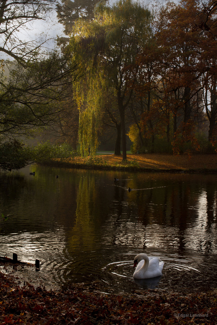 Ein Herbstfoto vom Georgengarten in Hannover.