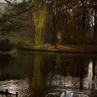 Ein Herbstfoto vom Georgengarten in Hannover.