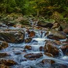 Ein Herbstgruß aus dem Harz 