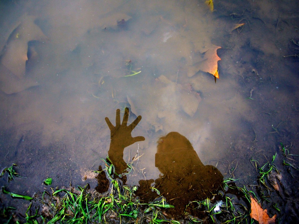 ein herbstlich feuchter Regengruß