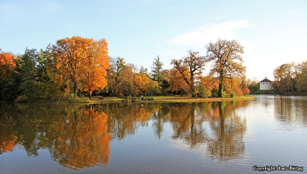 Ein herbstlicher Blick über den Wörlitzer See