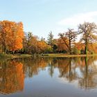 Ein herbstlicher Blick über den Wörlitzer See