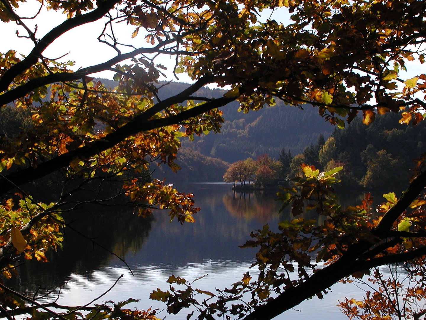 Ein herbstlicher Durchblick