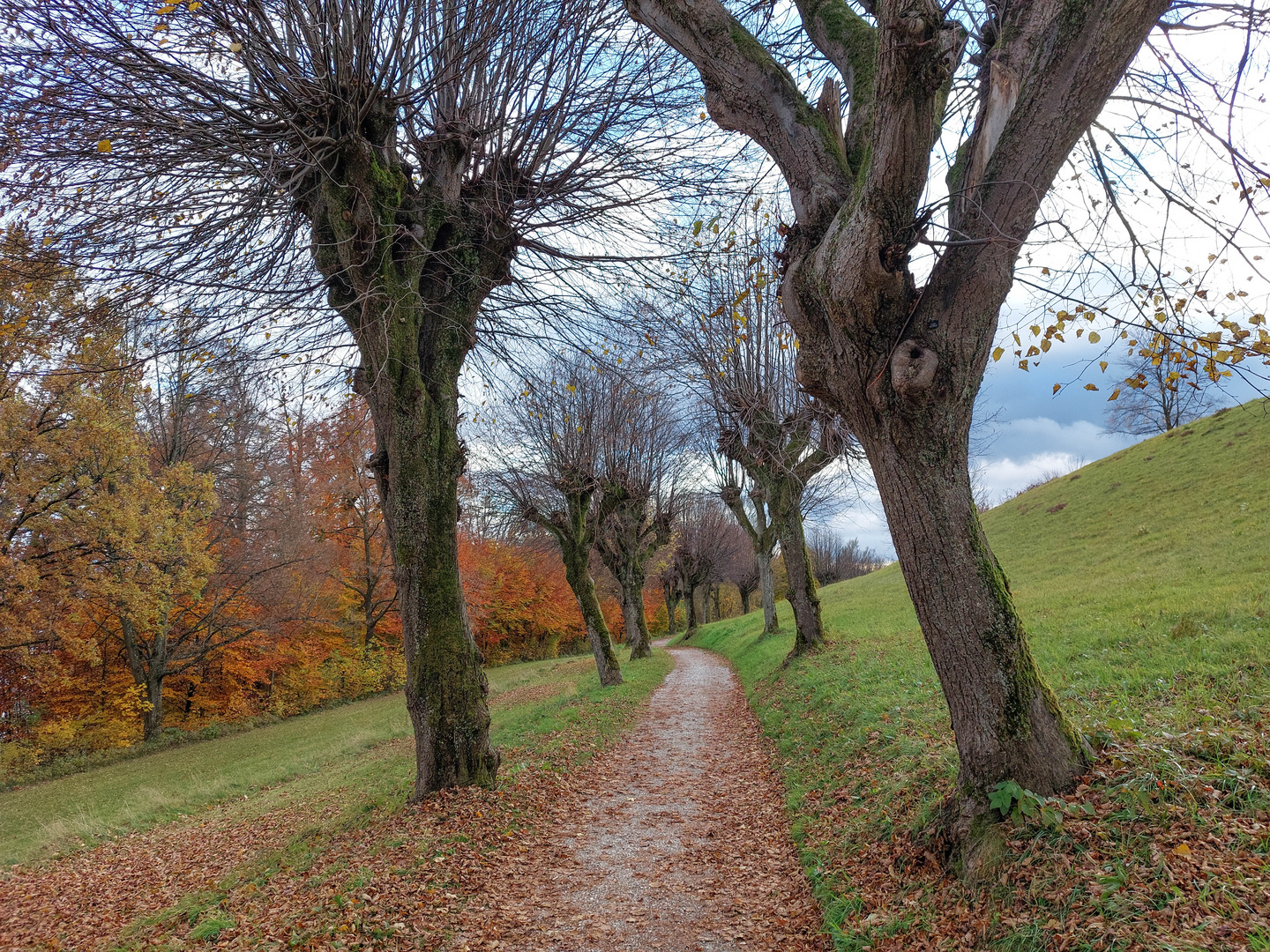 Ein herbstlicher Durchblick