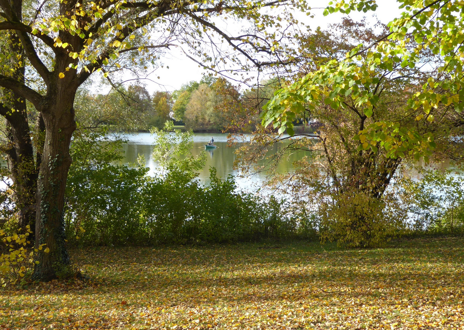 Ein herbstlicher Durchblick....