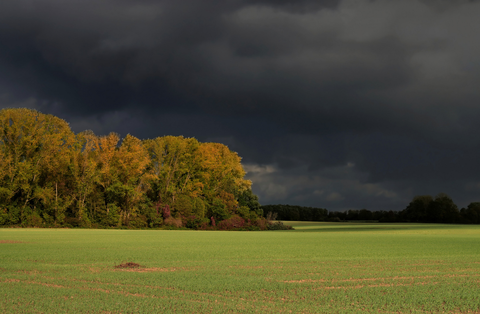 Ein herbstlicher Lichtmoment