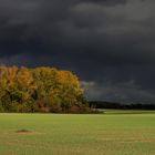 Ein herbstlicher Lichtmoment