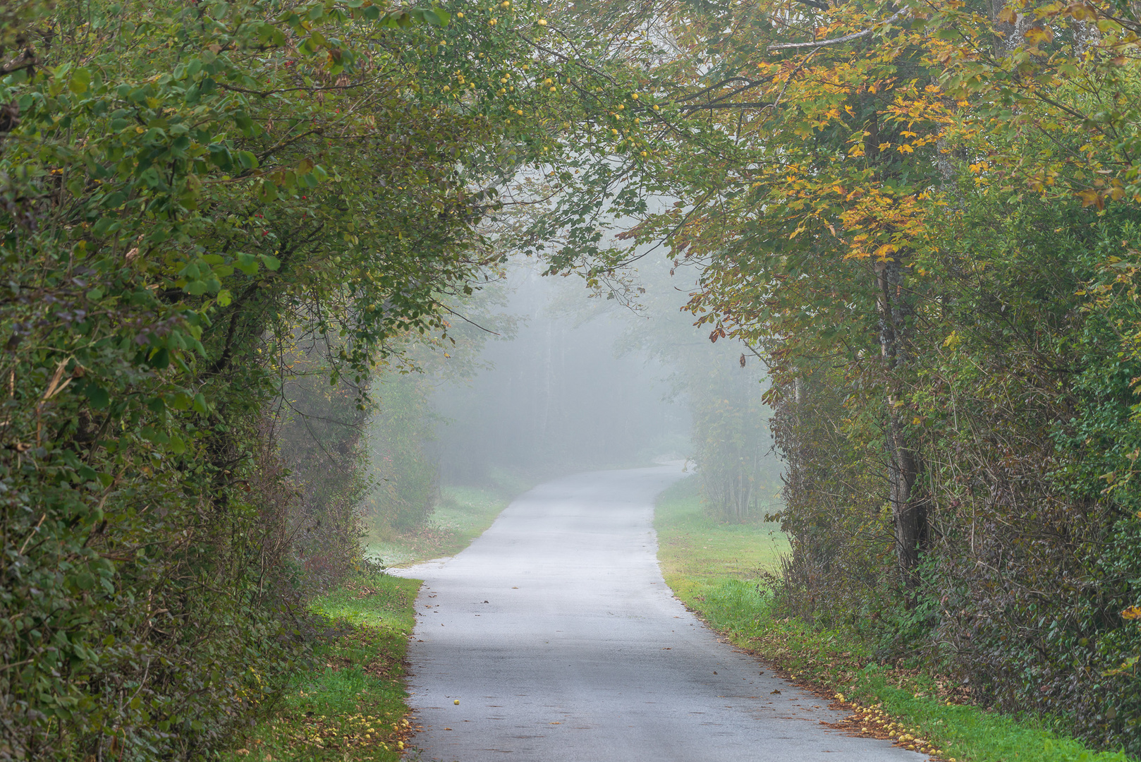 Ein herbstlicher Morgen im Nationalpark Gesäuse