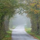 Ein herbstlicher Morgen im Nationalpark Gesäuse