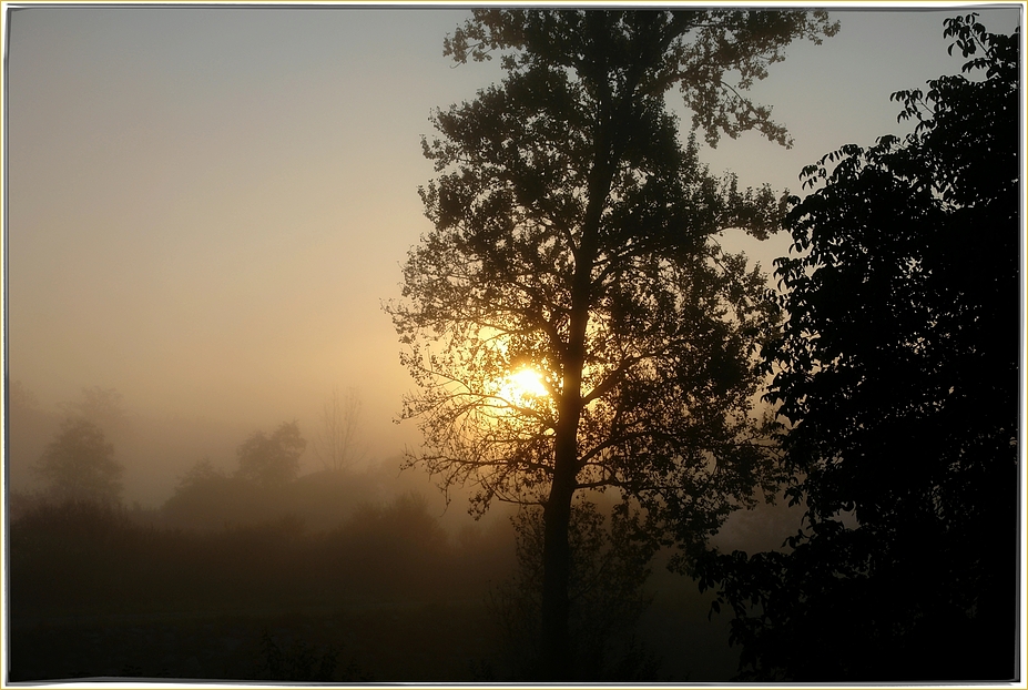 ein herbstlicher Sonnenaufgang ....