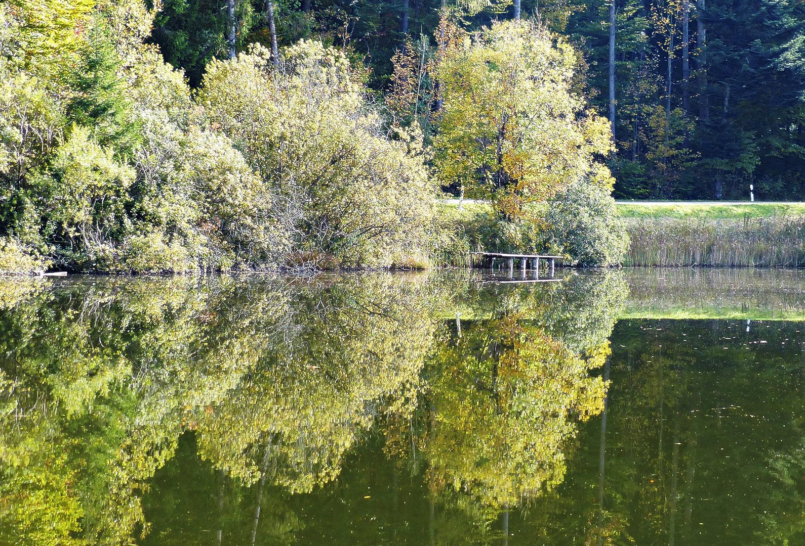 Ein herbstlicher Spiegel 2