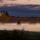 Ein herbstliches "Guten Morgen"