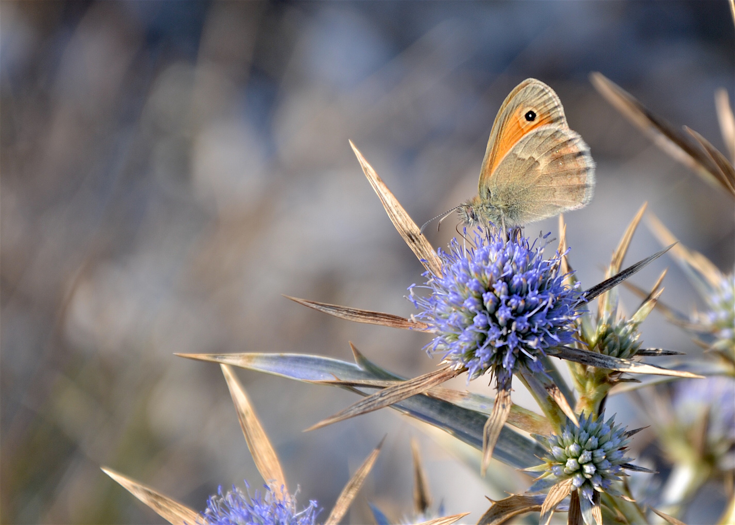 Ein herbstliches Sonnenbad