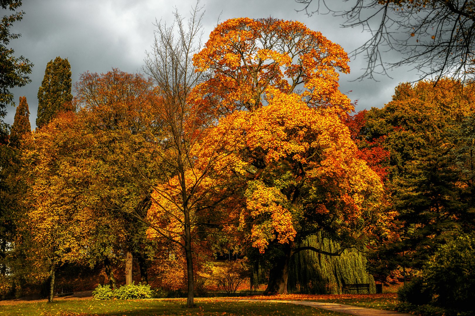 Ein herbstliches Urlaubsmitbringsel ...