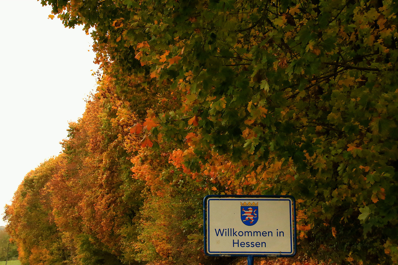 Ein herbstliches Willkommen in Hessen