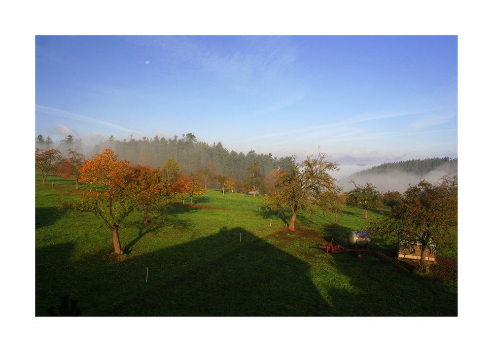 ein Herbstmorgen