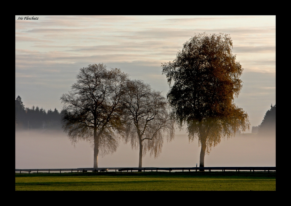 Ein Herbstmorgen